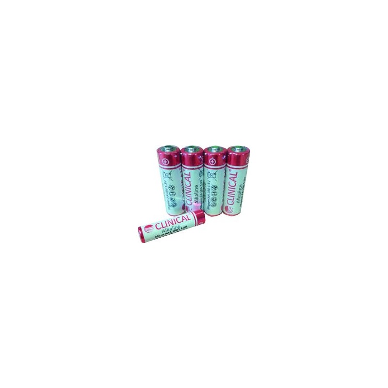 Piles alcalines
