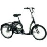 Tricycle adolescent Freedom 2217