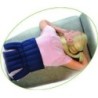 Compresses de lin Linum Classic, Anatomic ou Cervico