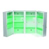 Armoire à pharmacie 2 portes